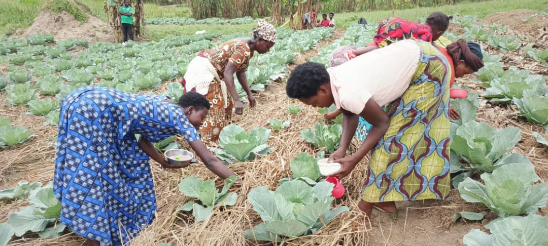 Cultivating Food Security